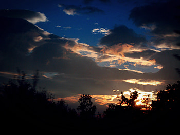 view to the sky from bush, clouds, trees, sky, beautiful, bush HD wallpaper