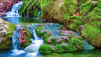Waterfall Among the Mossy Stones, leaves, waterfall, nature, mossy, water, stones HD wallpaper