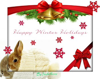 ******, winter, bunny, holidays, cute, happy, greetings HD wallpaper