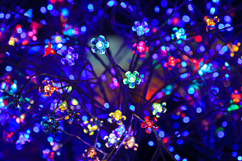 Flowers, Dark, Glare, Shine, Light, Multicolored, Motley, Neon, Illumination, Bokeh, Boquet, Lighting, Light Bulbs HD wallpaper