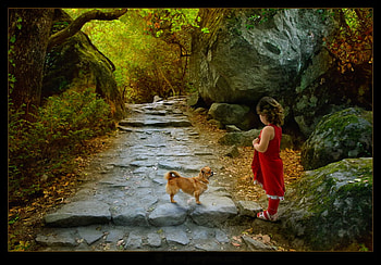 To be together, dog, red, beautiful, nature, girl, together HD wallpaper