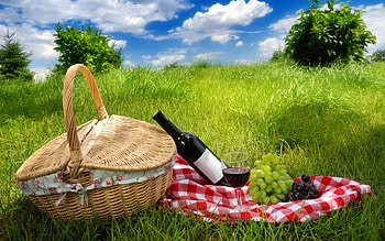 Picnic , Backgrounds HD wallpaper