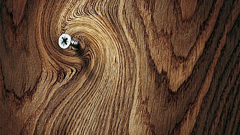 High Resolution Wood Tree 1920?1080 Full Size . HD wallpaper