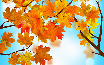 abstract autumn background, , artwork, orange autumn leaves, creative, vector art, abstract leaves background, orange leaves, abstract nature, leaves textures HD wallpaper