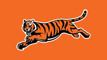 | Background ID:248698. Sports Cincinnati Bengals HD wallpaper