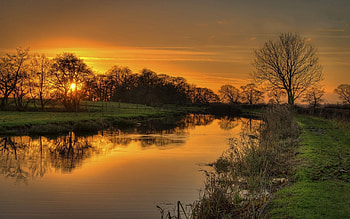Nature, Rivers, Grass, Shine, Light HD wallpaper