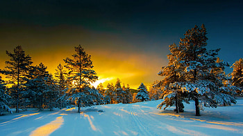 Norwegian Winter Sunrise, snow, clouds, colors, trees, landscape, road, sky, norway, scandinavia HD wallpaper