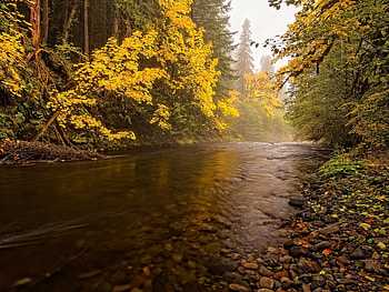 Landscape, Rivers, Autumn HD wallpaper