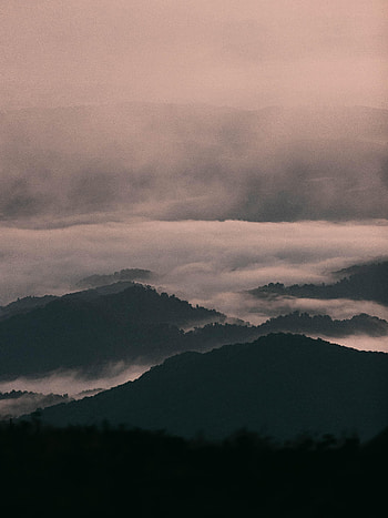 Nature, Trees, Fog, Relief, Hills HD phone wallpaper