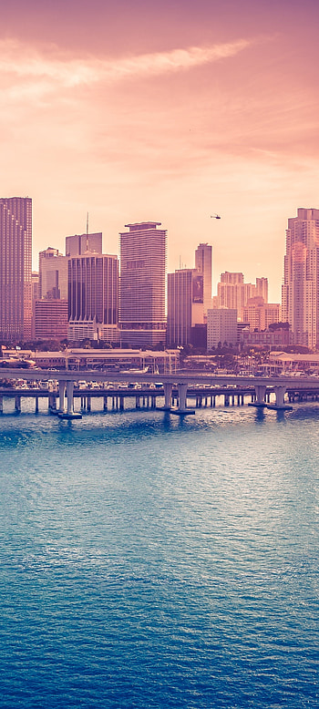 Miami Skyline, Downtown beauty, Florida cityscape, Acosta Bridge HD phone wallpaper