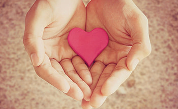 Heart, still life, pink, hand HD wallpaper