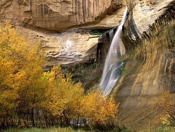 Nature, Trees, Grass, Autumn, Waterfall HD wallpaper