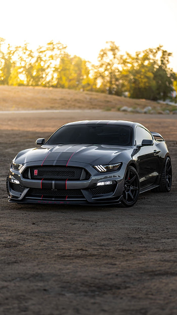 Ford Mustang, Mustang , Top 20 HD phone wallpaper