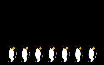 Minimalist Penguin by Fritters Minimalist Penguin by Fritters HD wallpaper