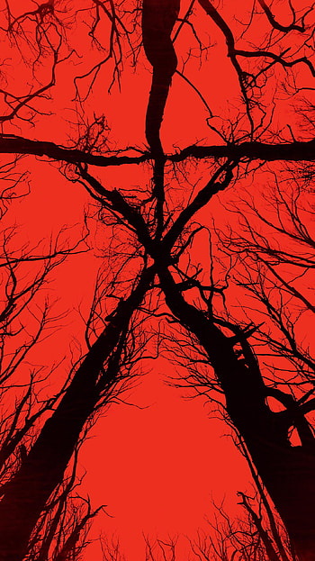 Blair Witch (2022) movie HD phone wallpaper