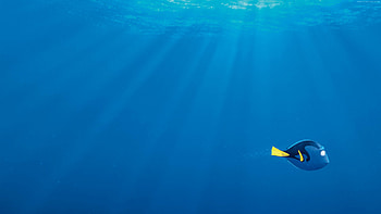 Finding Dory, Heartwarming sequel, Underwater adventure, Nemo's journey HD wallpaper