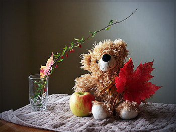 Autumn teddy bear, toy, teddy bear, leaves, autumn, apple HD wallpaper