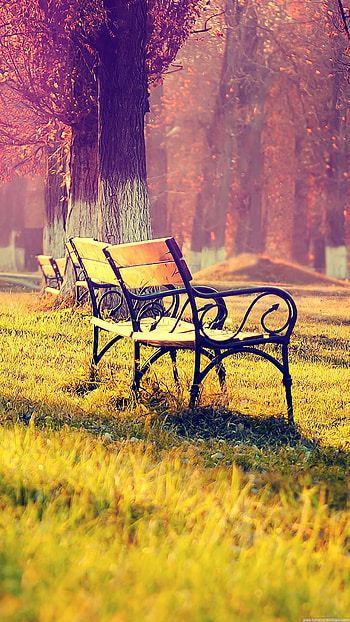 Bench In The Park Autumn Landscape 6 Plus HD phone wallpaper