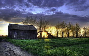 Nature, Grass, Field, Evening, r, Barn, Shed HD wallpaper