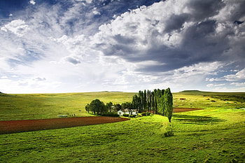 hougaard, blue, green, forces, sky, nature, grass, cloud, tree HD wallpaper