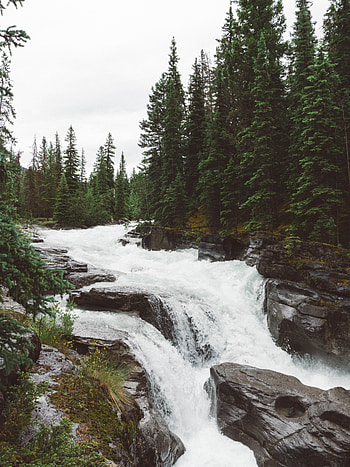 Nature, Water, Rivers, Trees, Rocks HD phone wallpaper