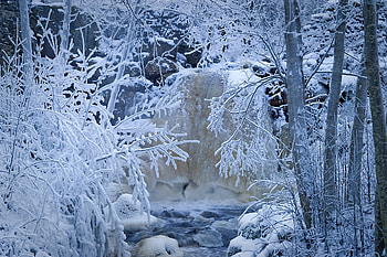 Winter, Landscape, Forest, Trees HD wallpaper