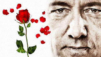 Kevin Spacey, American Beauty HD wallpaper