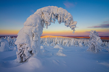 Sunset, winter, landscape, nature, trees HD wallpaper