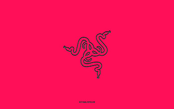 Razer logo, , pink gradient background, Razer carbon logo, pink background, Razer, Razer emblem HD wallpaper