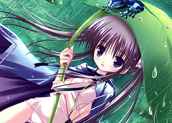 rainforrest - Anime girl, anime girl, cute, rainforrest, new HD wallpaper
