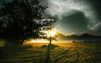 Splendor, sunlight, peaceful, sunrise, beauty, trees, amazing, mountains, sun, sunset, pathway, path, landscape, beautiful, grass, tree, green, view, clouds, nature, sky, lovely HD wallpaper