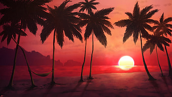 Relaxation under palm trees, Tropical bliss, Stunning beachscape, Postcard-perfect HD wallpaper