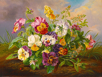 Pansy Still Life, pansy, life, still, painting HD wallpaper