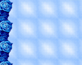 Blue roses border, blue, roses HD wallpaper