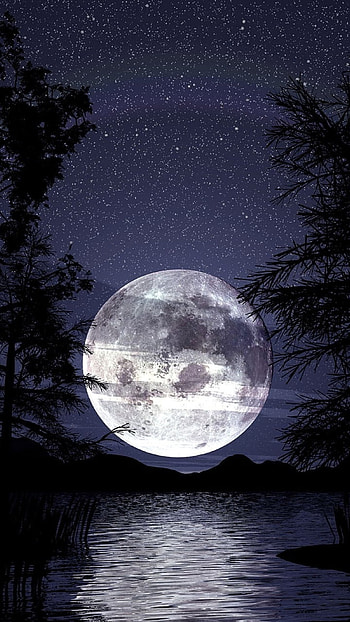 Full Moon Night, silhouette, sky, night, artistic, moon HD phone wallpaper