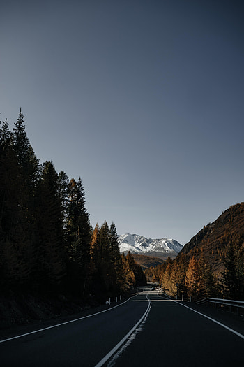 Nature, Trees, Mountains, Road, Asphalt HD phone wallpaper