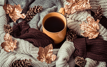 Autumn Coffee, pine cones, coffee, leaves, knitting HD wallpaper
