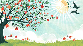 Spring Serenity: A Ultra of Blossoming Nature, spring, tree, flower, sun, bird HD wallpaper