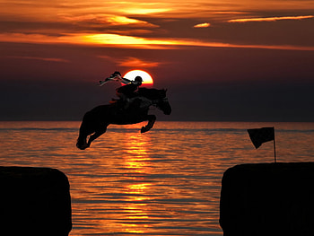 sunset jumper, animal, horse, dusk, beauty, reflection, yellow, nature, sky, water, sun, evening HD wallpaper