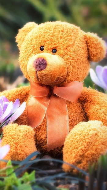 Teddy Wale, Garden Background HD phone wallpaper