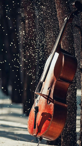 Forgotten cello in forest, Musical solitude, Enchanted melodies, Nature's symphony HD phone wallpaper