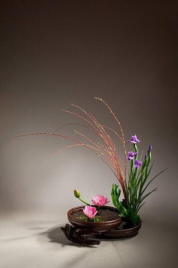Ikebana, Flower arrangement, Simple, DIY HD phone wallpaper
