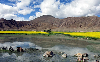 Nature, Stones, Mountains, Dandelions, Lake HD wallpaper