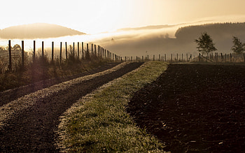 road at the edge of a plowed field, fog, field, fence, road, sunrise HD wallpaper