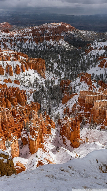 Utah winter, Snow-covered landscape, Beautiful nature, Winter wonderland HD phone wallpaper