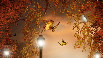 Falls Fantastic Lighting, lit, bird, lamps, fall, gold, orange, butterflies, persona, light, bright, lights, autumn, sky HD wallpaper