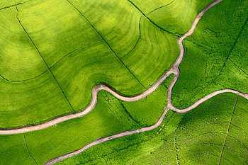 Nature, View From Above, Road, Relief, Field HD wallpaper