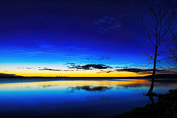 Tree On Shore Dark Evening , tree, evening, nature HD wallpaper