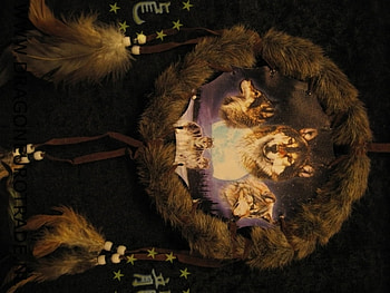 Dreamcatcher Wolves, native, animals, dogs, nature, wolf, dream HD wallpaper