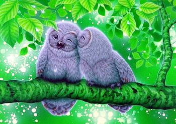 Owls Kissing, forests, paintings, owls, love four seasons, kisses, animals, couple, trees, nature, rainy season HD wallpaper